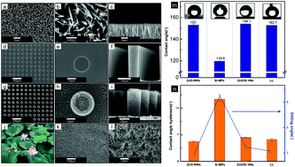 Graphical abstract: Dual dimensional nanostructures with highly durable non-wetting properties under dynamic and underwater conditions