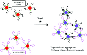 Graphical abstract: A colorimetric nanosensor based on a selective target-responsive aptamer kissing complex