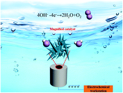 Graphical abstract: Colloidal synthesis of urchin-like Fe doped NiSe2 for efficient oxygen evolution