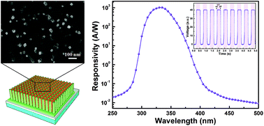 Graphical abstract: Organics filled one-dimensional TiO2 nanowires array ultraviolet detector with enhanced photo-conductivity and dark-resistivity
