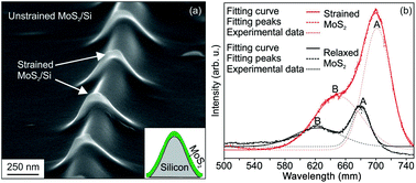Graphical abstract: Strain engineering, efficient excitonic photoluminescence, and exciton funnelling in unmodified MoS2 nanosheets