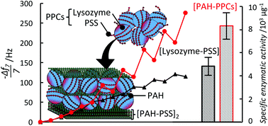 Graphical abstract: Protein–polyelectrolyte complexes to improve the biological activity of proteins in layer-by-layer assemblies