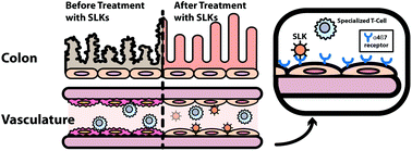 Graphical abstract: Engineered biomimetic nanovesicles show intrinsic anti-inflammatory properties for the treatment of inflammatory bowel diseases