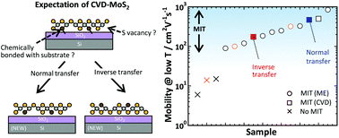 Graphical abstract: Transport properties of the top and bottom surfaces in monolayer MoS2 grown by chemical vapor deposition
