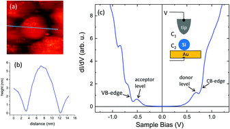 Graphical abstract: Size-dependent donor and acceptor states in codoped Si nanocrystals studied by scanning tunneling spectroscopy