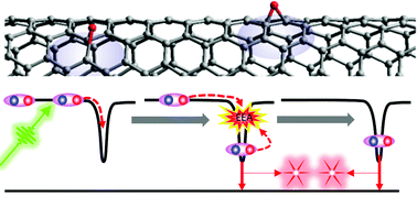 Graphical abstract: Multi-exciton emission from solitary dopant states of carbon nanotubes