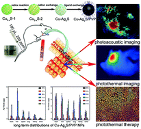 Graphical abstract: Multifunctional Cu–Ag2S nanoparticles with high photothermal conversion efficiency for photoacoustic imaging-guided photothermal therapy in vivo