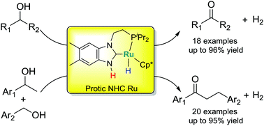 Graphical abstract: Acceptorless dehydrogenation and dehydrogenative coupling of alcohols catalysed by protic NHC ruthenium complexes
