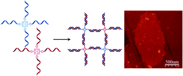 Graphical abstract: Self-assembly of porphyrin–DNA hybrids into large flat nanostructures