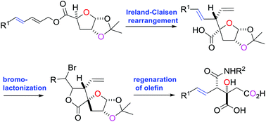 Graphical abstract: Stereoselective synthesis of the viridiofungin analogue NA808 from a chiral tetrahydrofuran-carboxylic acid