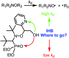 Graphical abstract: How intramolecular hydrogen bonding (IHB) controls the C–ON bond homolysis in alkoxyamines