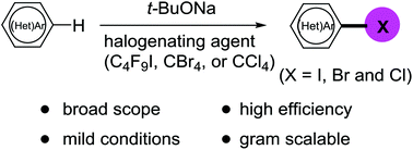 Graphical abstract: t-BuONa-mediated direct C–H halogenation of electron-deficient (hetero)arenes