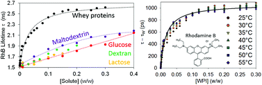 Graphical abstract: Fluorescence lifetime of Rhodamine B in aqueous solutions of polysaccharides and proteins as a function of viscosity and temperature
