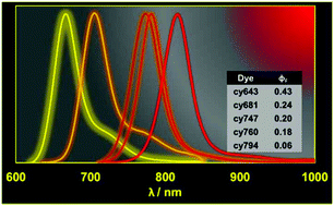 Graphical abstract: Cyanine dyes as ratiometric fluorescence standards for the far-red spectral region