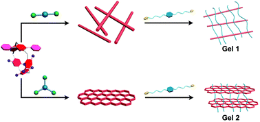 Graphical abstract: Two novel supramolecular metallogels constructed by platinum(ii) coordination and pillar[5]arene-based host–guest interactions