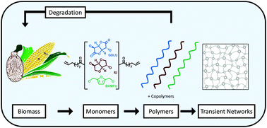 Graphical abstract: Structure/property relationships in copolymers comprising renewable isosorbide, glucarodilactone, and 2,5-bis(hydroxymethyl)furan subunits