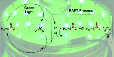 Graphical abstract: RAFT iniferter polymerization in miniemulsion using visible light
