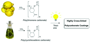 Graphical abstract: Bio-derived polymers for coating applications: comparing poly(limonene carbonate) and poly(cyclohexadiene carbonate)