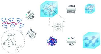 Graphical abstract: Thermo- and redox-responsive dendronized polymer hydrogels