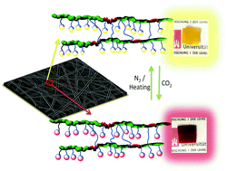 Graphical abstract: Fabrication of color changeable CO2 sensitive nanofibers