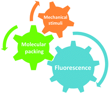 Graphical abstract: Molecular conformation and packing: their critical roles in the emission performance of mechanochromic fluorescence materials