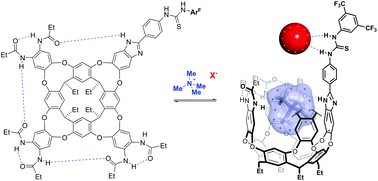 Graphical abstract: Binding of ion pairs in a thiourea-functionalized self-folding cavitand