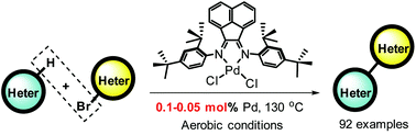 Graphical abstract: Direct C–H heteroarylation by an acenaphthyl-based α-diimine palladium complex: improvement of the reaction efficiency for bi(hetero)aryls under aerobic conditions