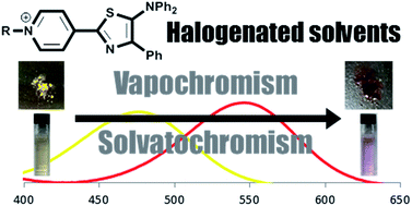 Graphical abstract: Pyridinium 5-aminothiazoles: specific photophysical properties and vapochromism in halogenated solvents