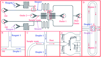 Graphical abstract: A microfluidic chip integrated with droplet generation, pairing, trapping, merging, mixing and releasing
