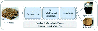 Graphical abstract: Conversion of cellulose rich municipal solid waste blends using ionic liquids: feedstock convertibility and process scale-up