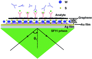 Graphical abstract: Theoretical design of a surface plasmon resonance sensor with high sensitivity and high resolution based on graphene–WS2 hybrid nanostructures and Au–Ag bimetallic film