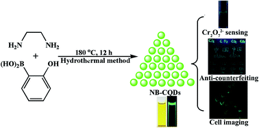 Graphical abstract: Hydrothermal synthesis of nitrogen and boron doped carbon quantum dots with yellow-green emission for sensing Cr(vi), anti-counterfeiting and cell imaging