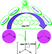 Graphical abstract: Schiff base Mn(iii) and Co(ii) complexes coated on Co nanoparticles: an efficient and recyclable magnetic nanocatalyst for H2O2 oxidation of sulfides to sulfoxides