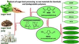 Graphical abstract: Products of sugar beet processing as raw materials for chemicals and biodegradable polymers