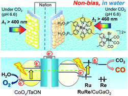 Graphical abstract: Hybrid photocathode consisting of a CuGaO2 p-type semiconductor and a Ru(ii)–Re(i) supramolecular photocatalyst: non-biased visible-light-driven CO2 reduction with water oxidation