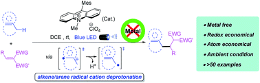Graphical abstract: Metal-free direct alkylation of unfunctionalized allylic/benzylic sp3 C–H bonds via photoredox induced radical cation deprotonation
