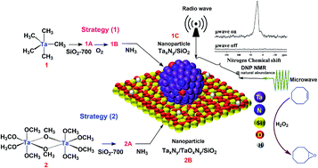 Graphical abstract: From single-site tantalum complexes to nanoparticles of TaxNy and TaOxNy supported on silica: elucidation of synthesis chemistry by dynamic nuclear polarization surface enhanced NMR spectroscopy and X-ray absorption spectroscopy