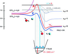 Graphical abstract: Effects of vibrational excitation on the F + H2O → HF + OH reaction: dissociative photodetachment of overtone-excited [F–H–OH]−