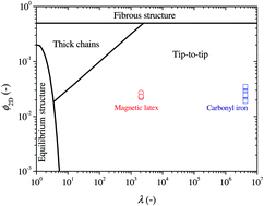 Graphical abstract: Aggregation kinetics of carbonyl iron based magnetic suspensions in 2D