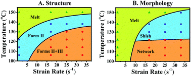 Graphical abstract: Structural and morphological transitions in extension-induced crystallization of poly(1-butene) melt