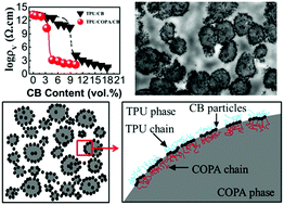 Graphical abstract: Improved electrical conductivity of TPU/carbon black composites by addition of COPA and selective localization of carbon black at the interface of sea-island structured polymer blends