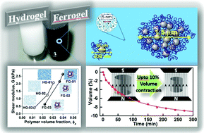Graphical abstract: Ferrogels based on entrapped metallic iron nanoparticles in a polyacrylamide network: extended Derjaguin–Landau–Verwey–Overbeek consideration, interfacial interactions and magnetodeformation