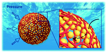 Graphical abstract: Structure and elasticity of composite nanoparticle/polymer nanoshells (hybridosomes®)