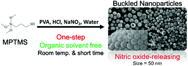 Graphical abstract: From a silane monomer to anisotropic buckled silica nanospheres: a polymer-mediated, solvent-free and one-pot synthesis