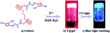Graphical abstract: A thermo-responsive supramolecular gel and its luminescence enhancement induced by rare earth Y3+