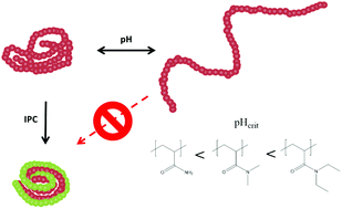 Graphical abstract: Poly(acrylic acid) interpolymer complexes