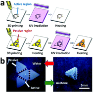 Graphical abstract: 4D printing of a self-morphing polymer driven by a swellable guest medium