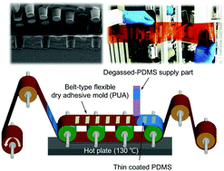 Graphical abstract: Scalable and continuous fabrication of bio-inspired dry adhesives with a thermosetting polymer