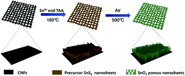 Graphical abstract: Hierarchical mesoporous SnO2 nanosheets on carbon cloth toward enhancing the polysulfides redox for lithium–sulfur batteries