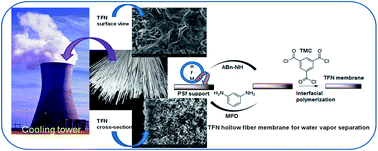 Graphical abstract: Thin film nanocomposite (TFN) hollow fiber membranes incorporated with functionalized acid-activated bentonite (ABn-NH) clay: towards enhancement of water vapor permeance and selectivity